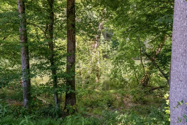 49 Hidden River Road Rock Island, TN 38581