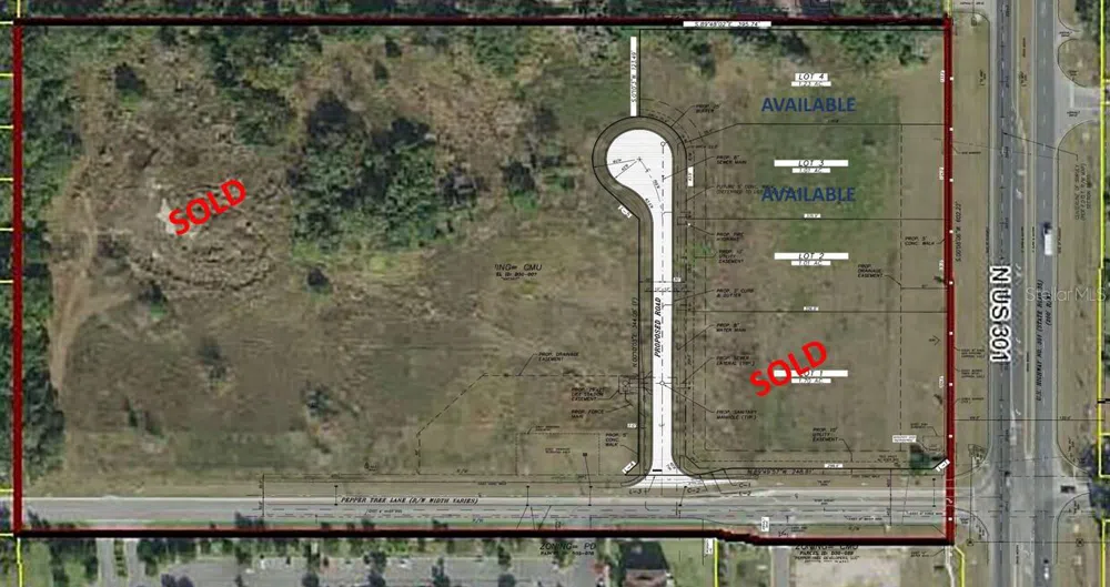 TBD N US HWY 301 #Lot 3 Wildwood, FL 34785