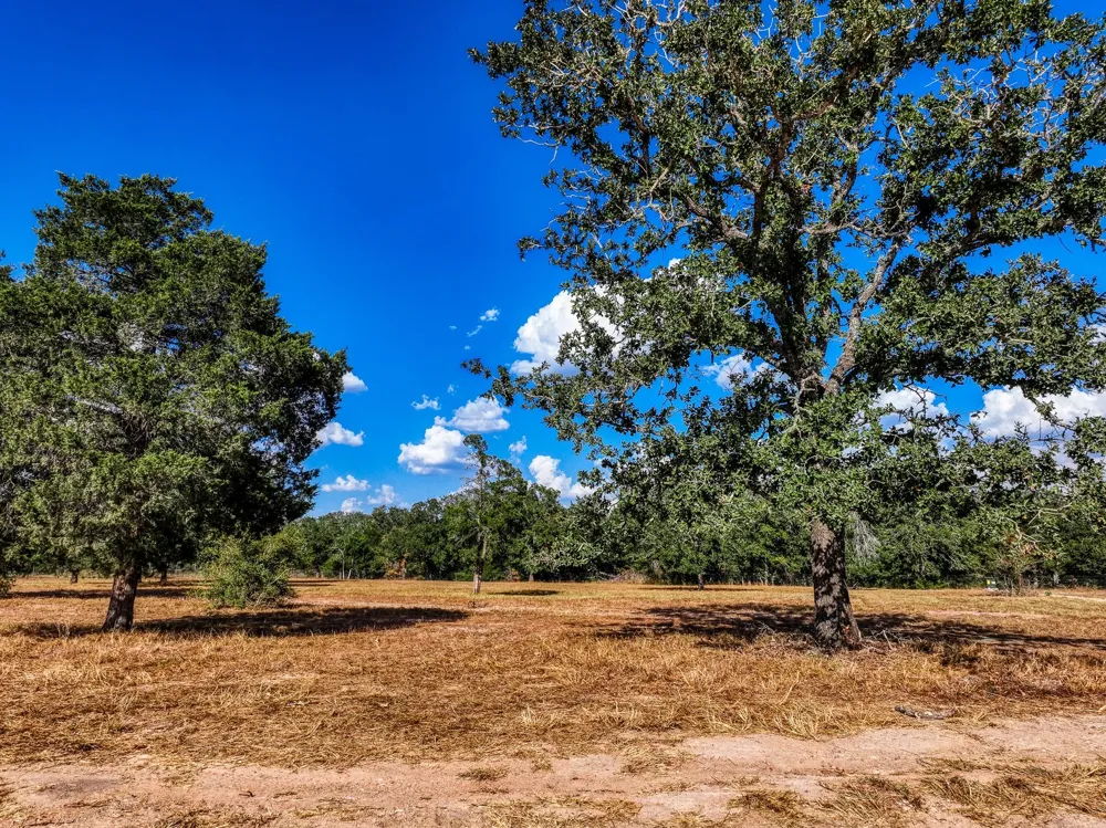 120 Feder Way West Point, TX 78963