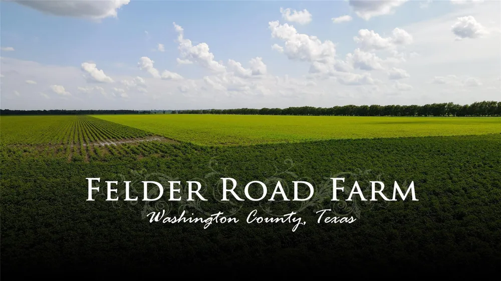 Felder Road Washington, TX 77880