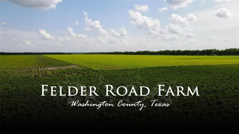 Felder Road