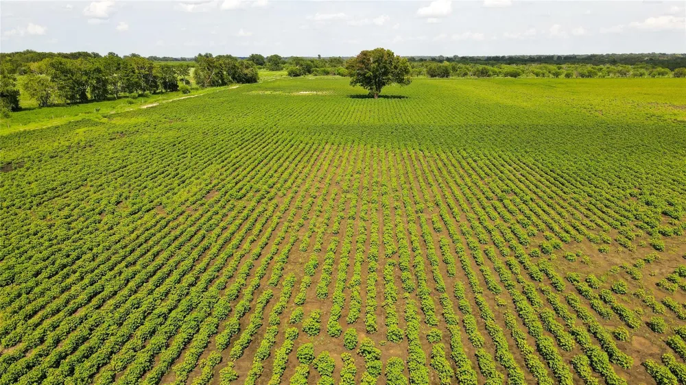 Felder Road Washington, TX 77880