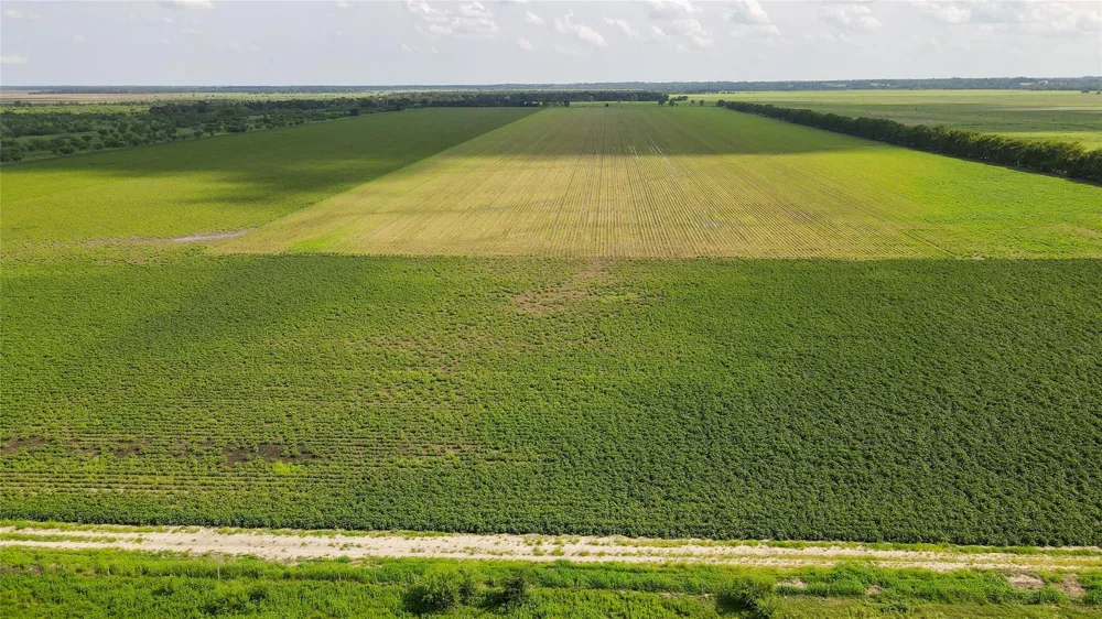 Felder Road Washington, TX 77880