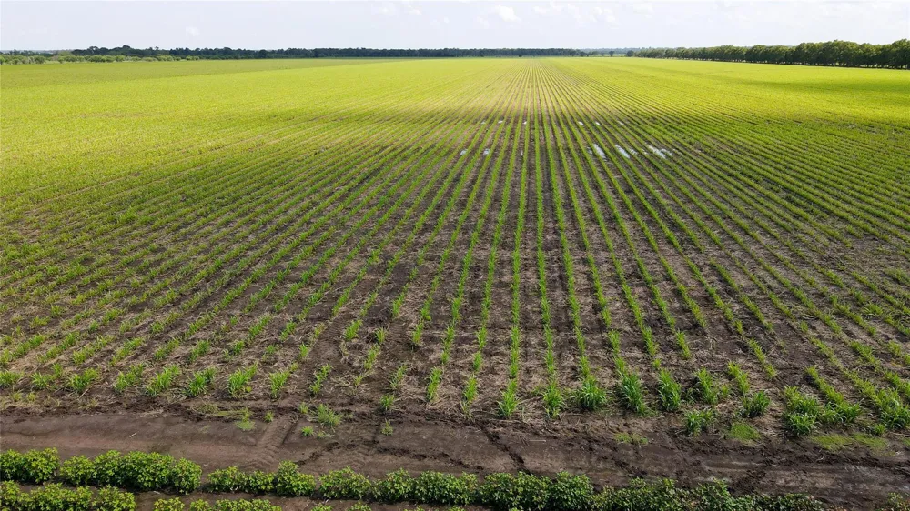 Felder Road Washington, TX 77880