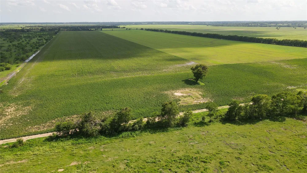 Felder Road Washington, TX 77880