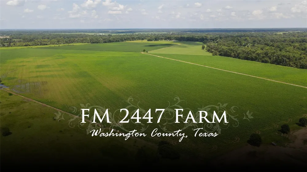 Fm 2447 Chappell Hill, TX 77426