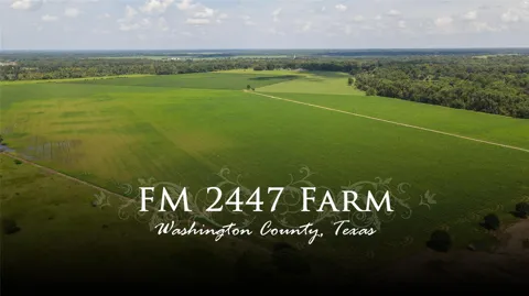 Fm 2447