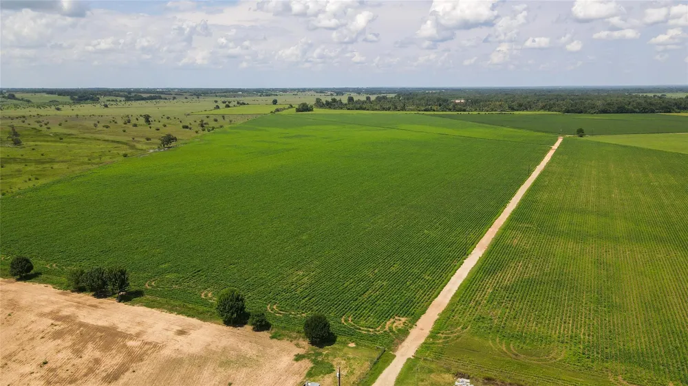 Fm 2447 Chappell Hill, TX 77426