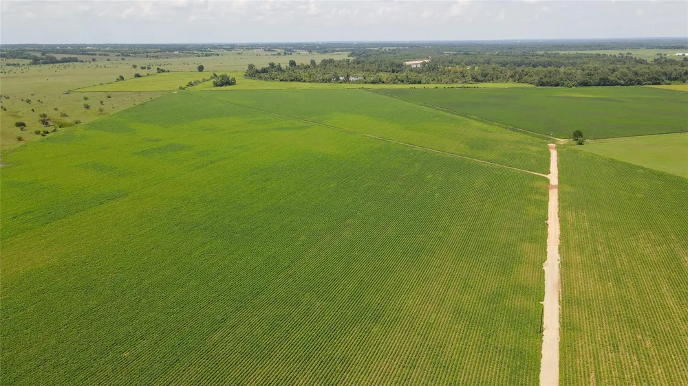 Fm 2447 Chappell Hill, TX 77426