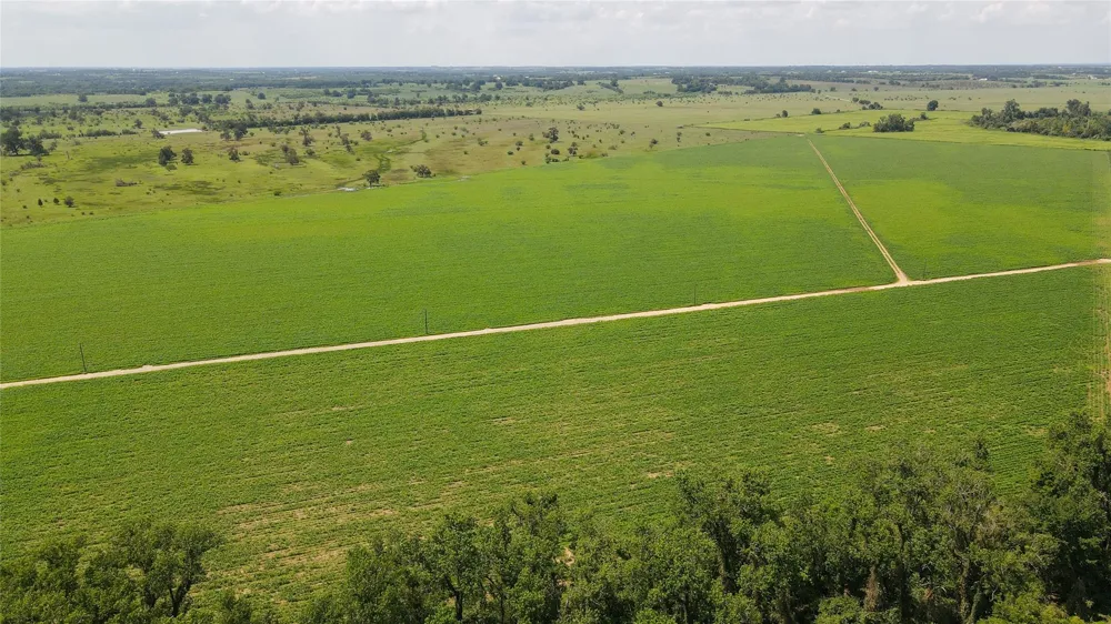 Fm 2447 Chappell Hill, TX 77426