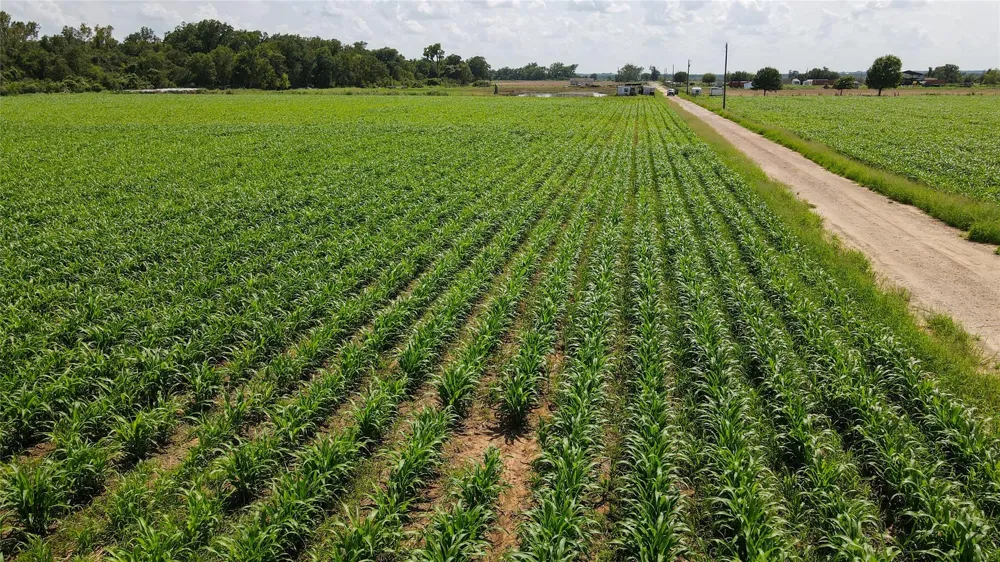 Fm 2447 Chappell Hill, TX 77426