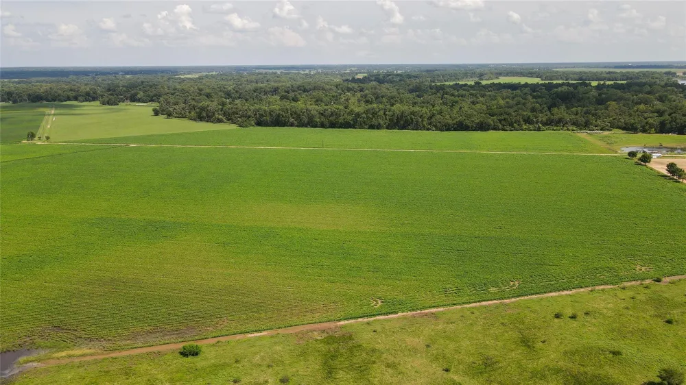 Fm 2447 Chappell Hill, TX 77426