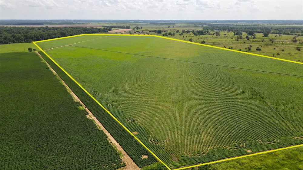 Fm 2447 Chappell Hill, TX 77426