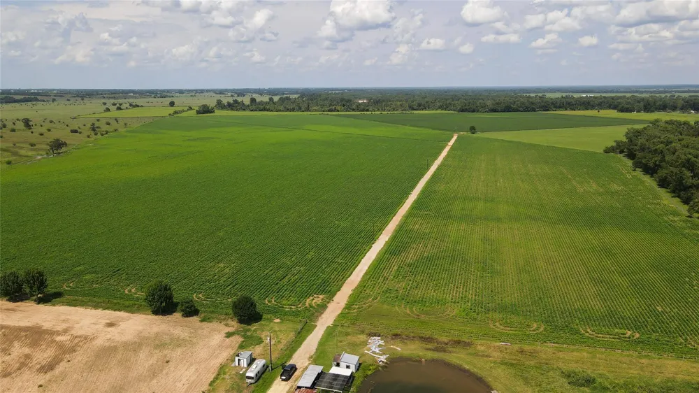 Fm 2447 Chappell Hill, TX 77426