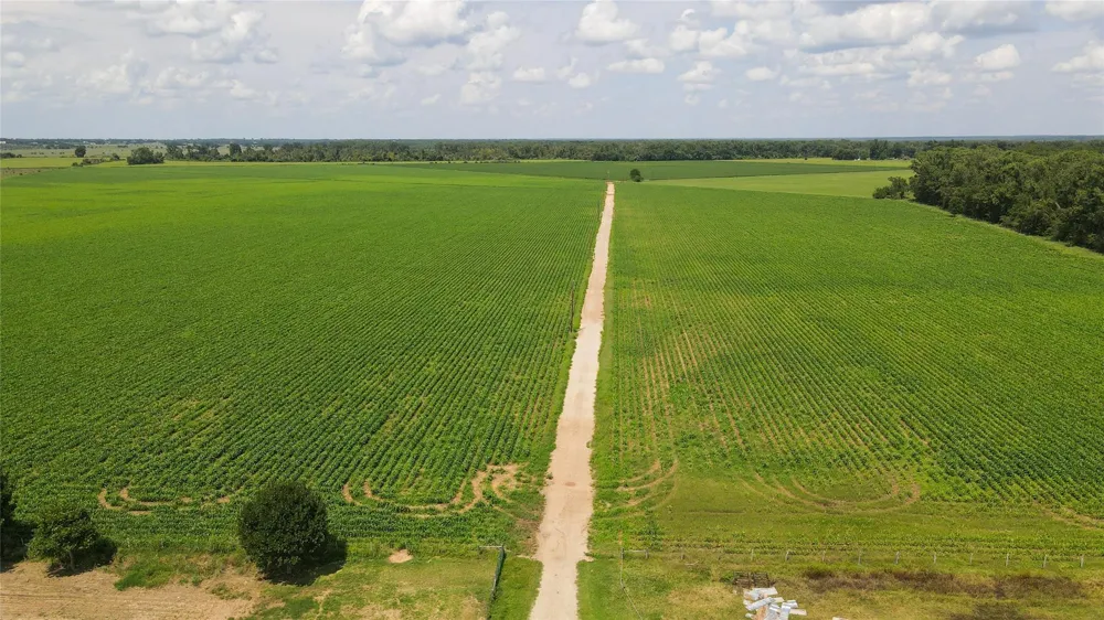 Fm 2447 Chappell Hill, TX 77426