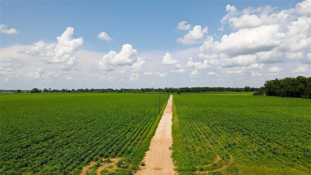 Fm 2447 Chappell Hill, TX 77426