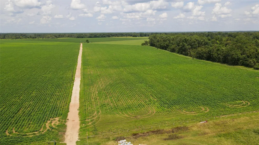 Fm 2447 Chappell Hill, TX 77426