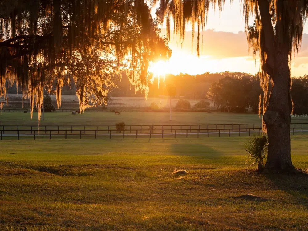 9001 NW 200TH STREET ROAD Micanopy, FL 32667