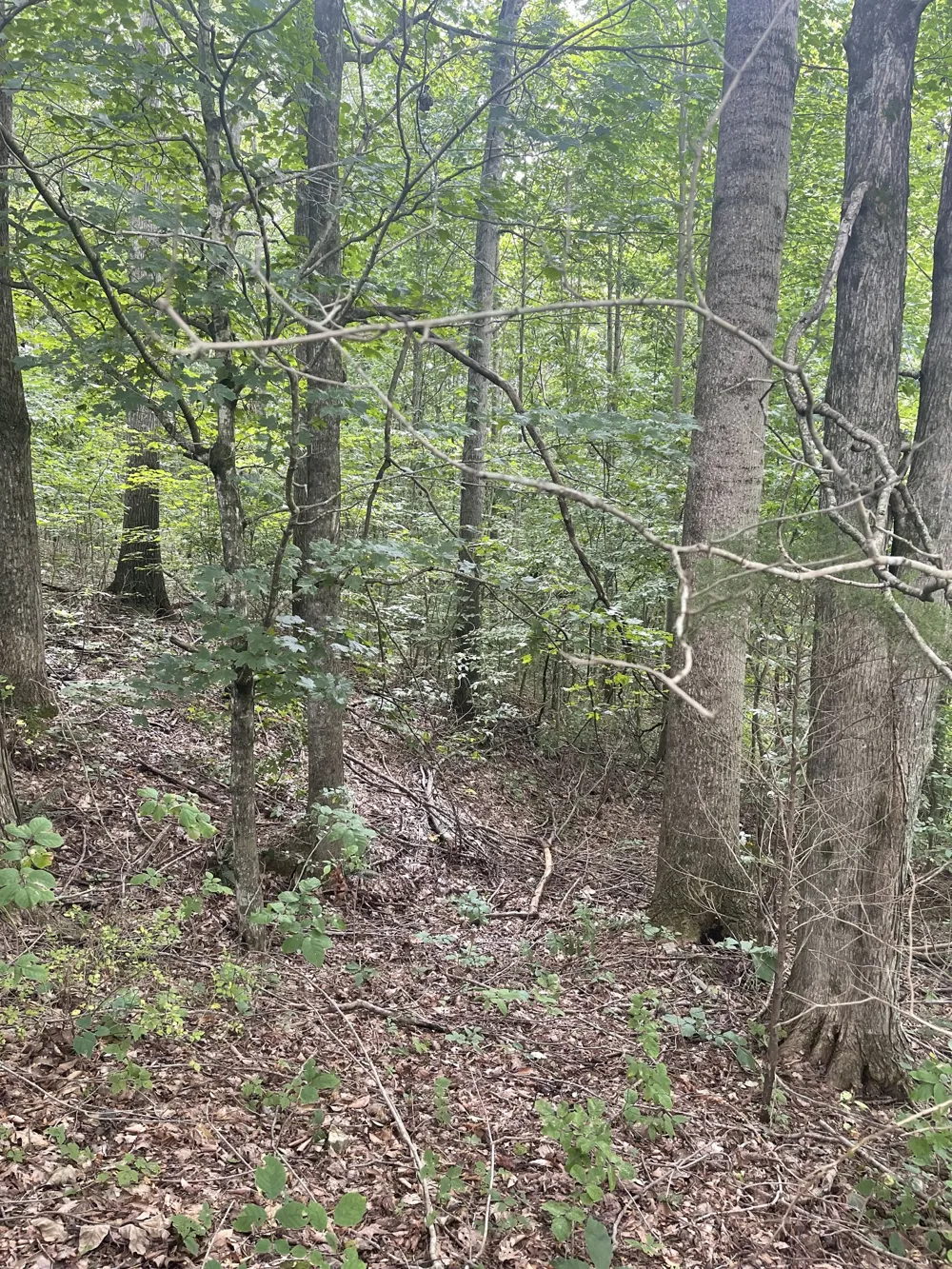 0 HWY 52 bypass west W Lafayette, TN 37083