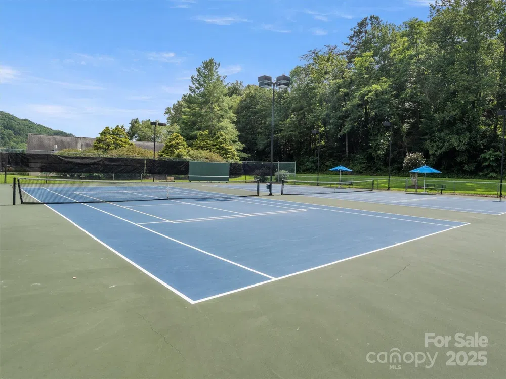 155 Quail Cove Road #1602 Lake Lure, NC 28746