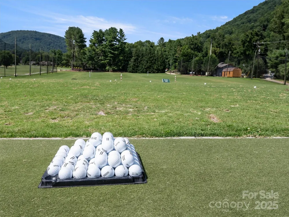 155 Quail Cove Road #1602 Lake Lure, NC 28746