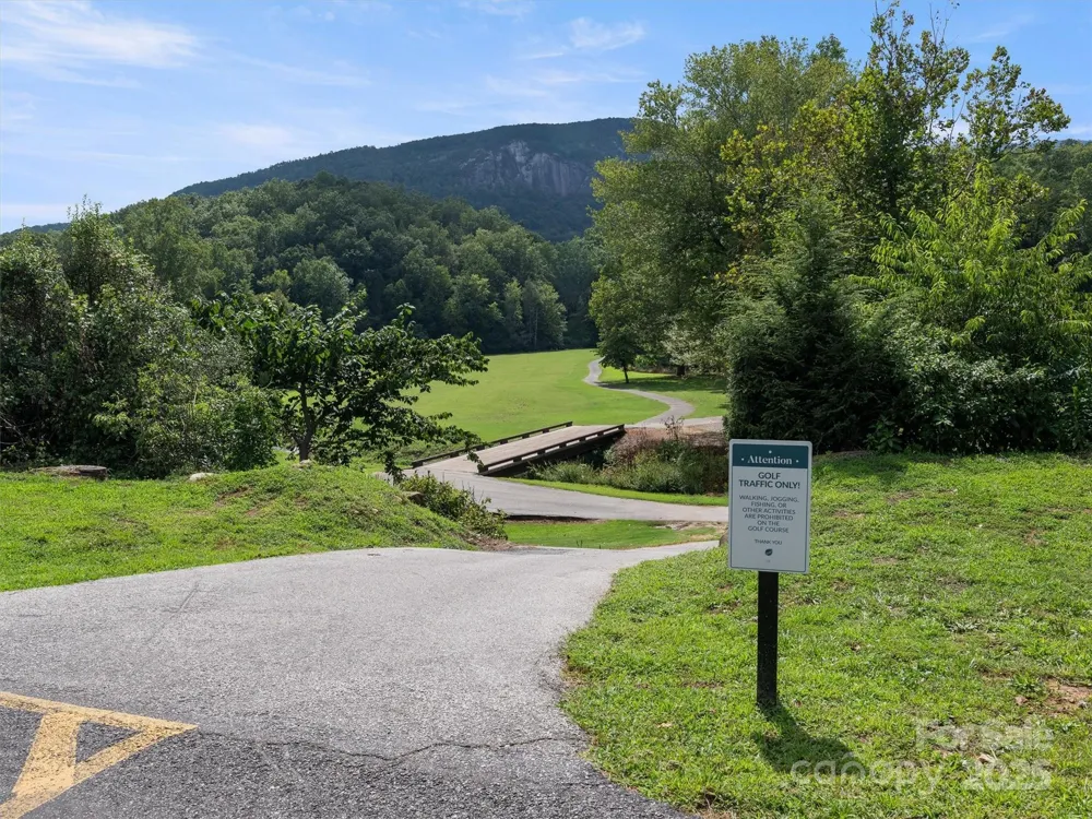 155 Quail Cove Road #1602 Lake Lure, NC 28746