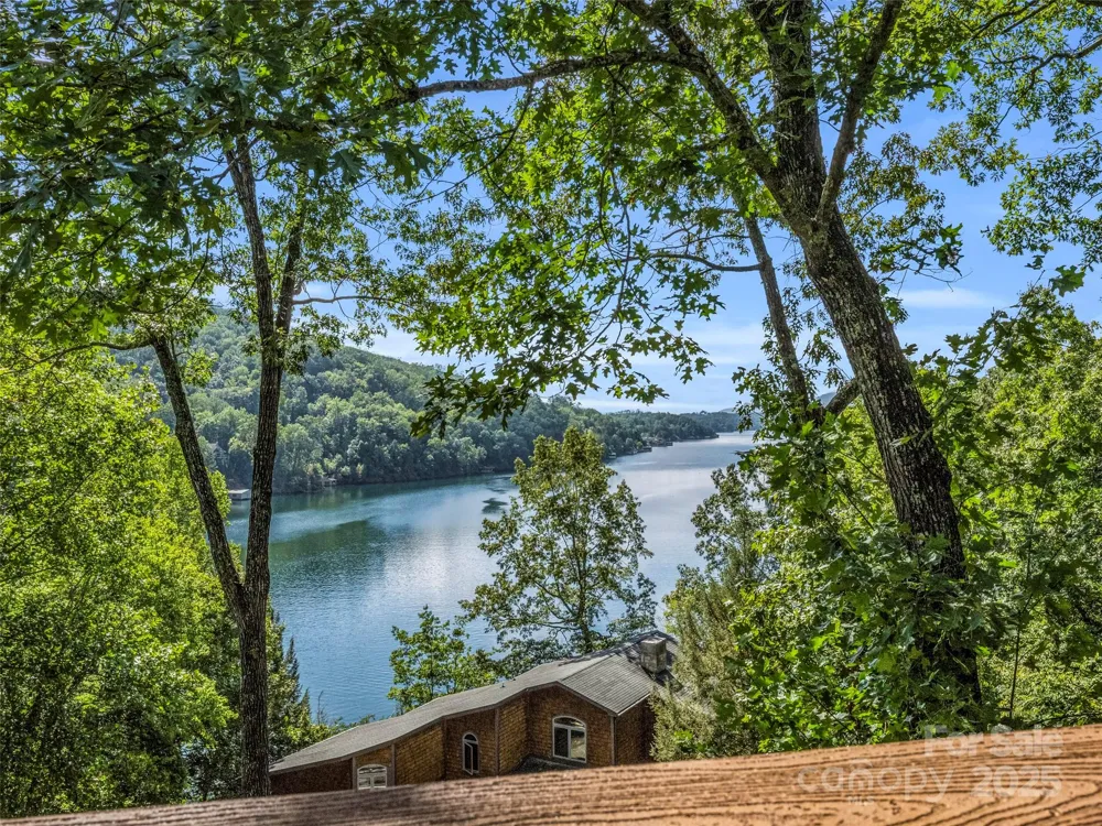 155 Quail Cove Road #1602 Lake Lure, NC 28746