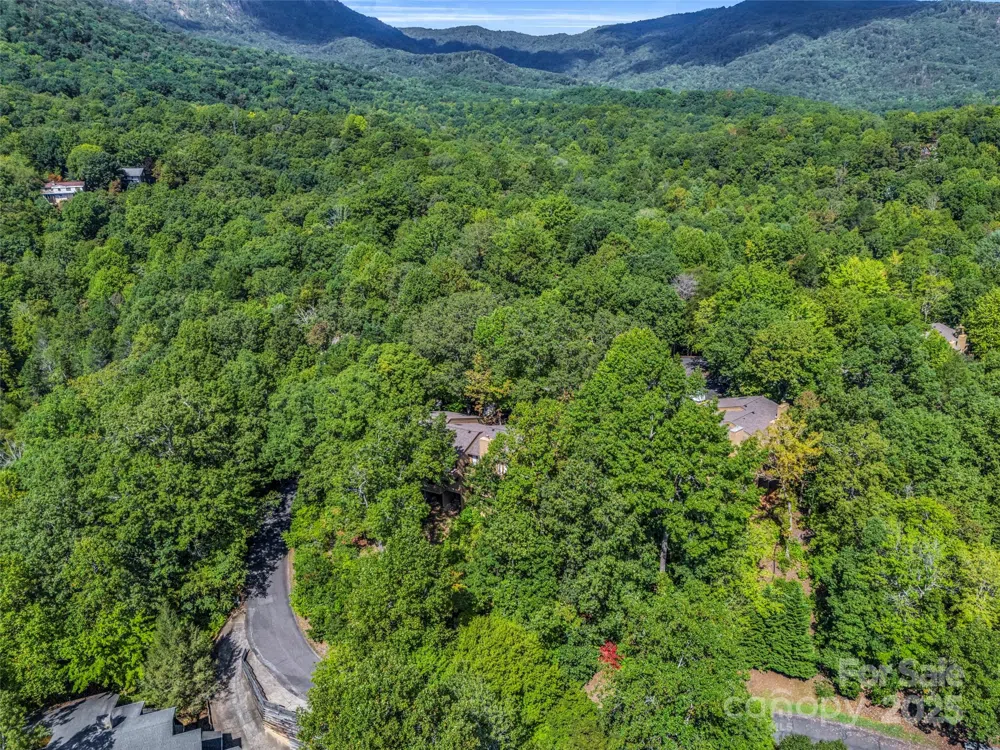 155 Quail Cove Road #1602 Lake Lure, NC 28746