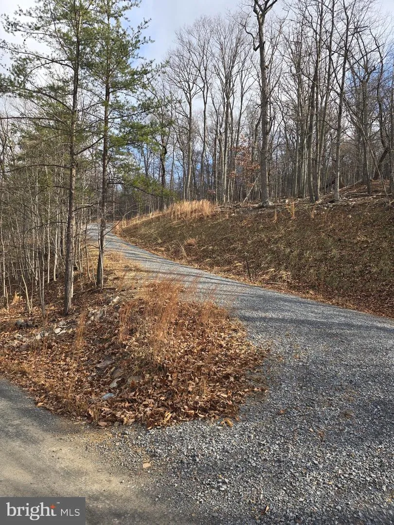 DRIFTWOOD DRIVE Gerrardstown, WV 25420