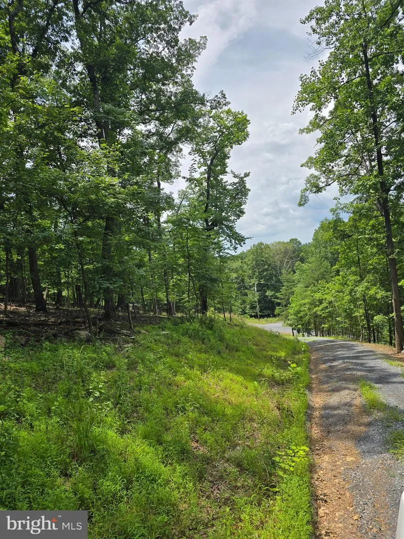 DRIFTWOOD DRIVE Gerrardstown, WV 25420