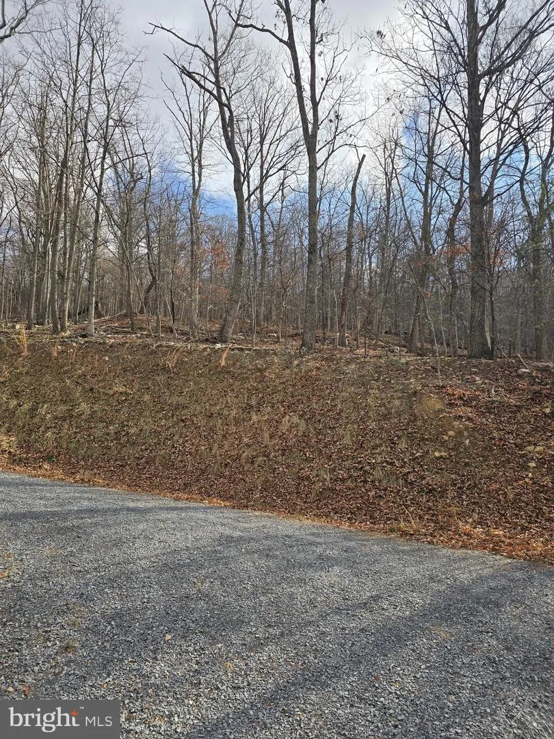 DRIFTWOOD DRIVE Gerrardstown, WV 25420