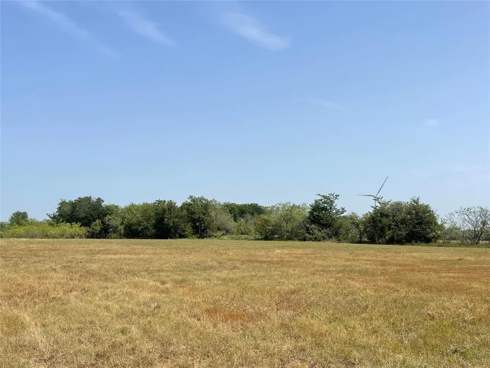 FM 339 Mount Calm, TX 76673