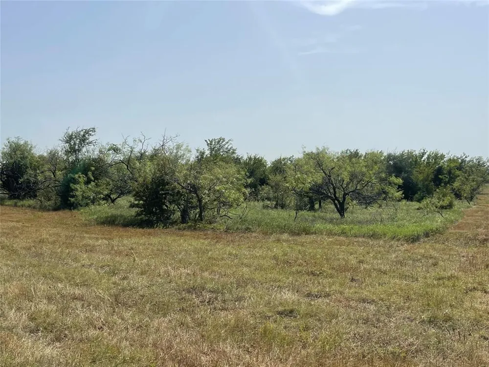 FM 339 Mount Calm, TX 76673