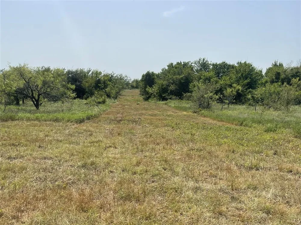 FM 339 Mount Calm, TX 76673