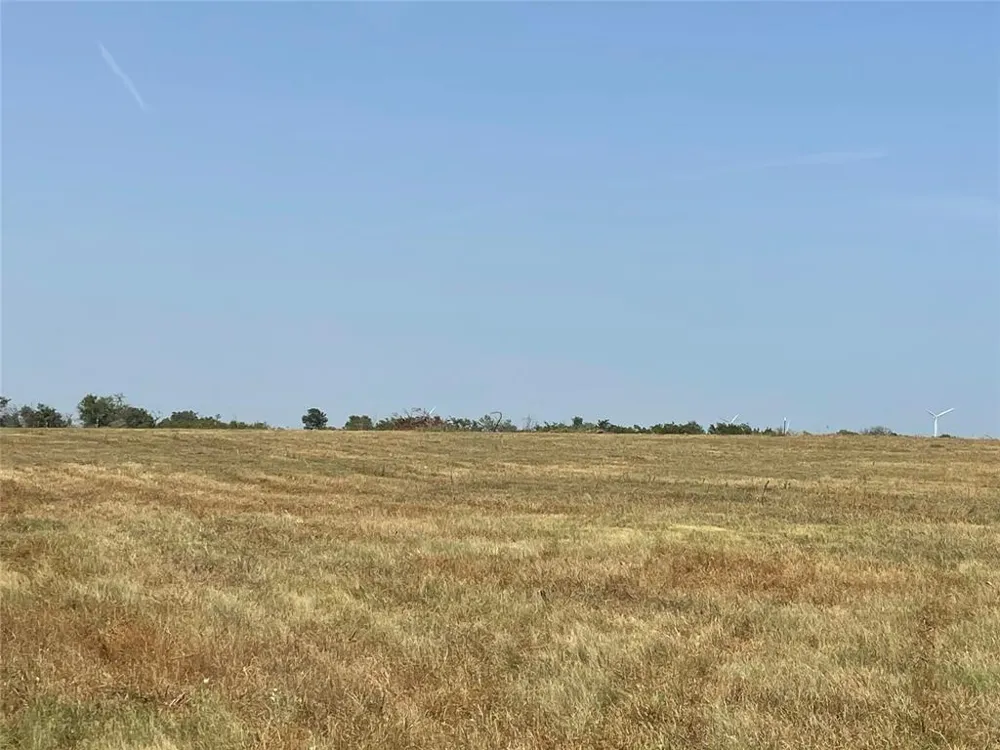 FM 339 Mount Calm, TX 76673