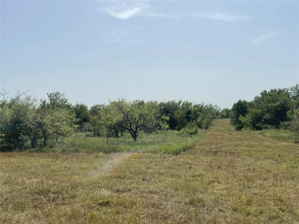 FM 339 Mount Calm, TX 76673