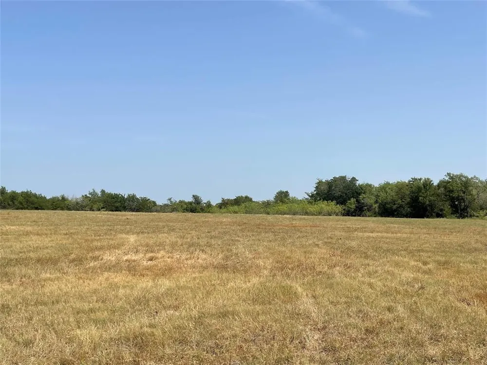 FM 339 Mount Calm, TX 76673
