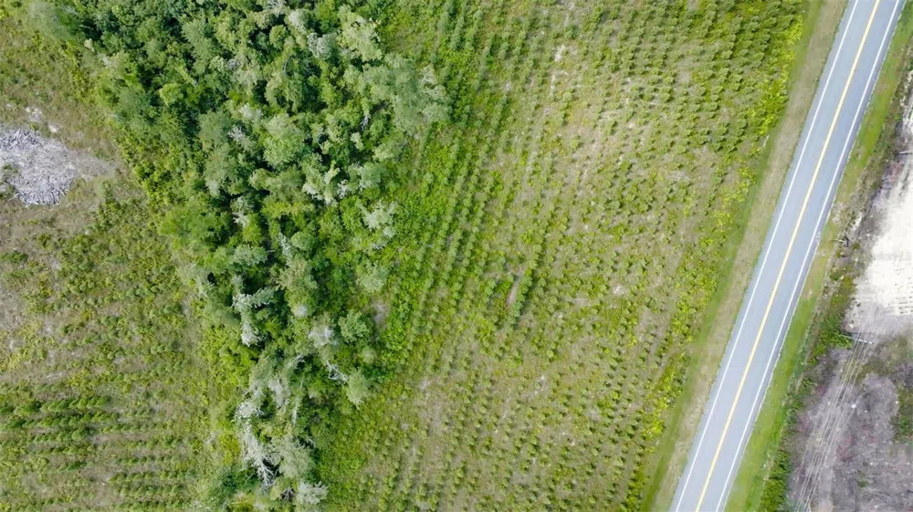 SR 71 S Wewahitchka, FL 32449