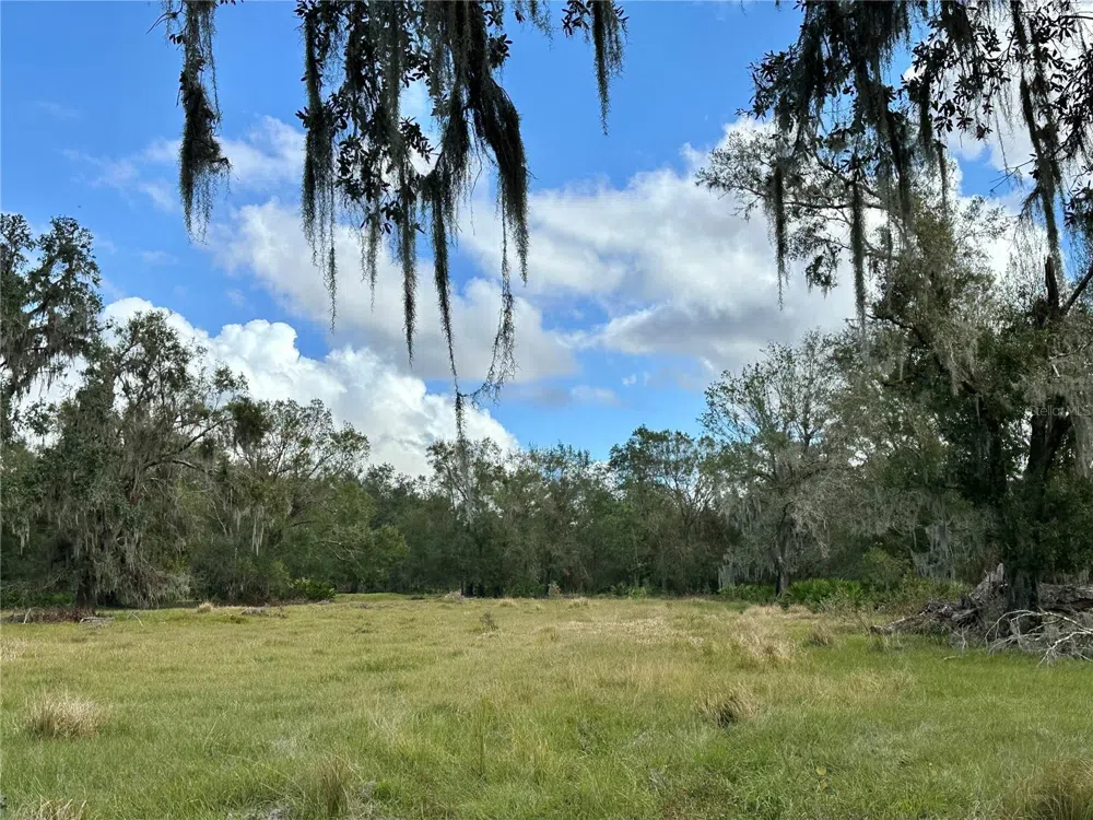 0 POLK ROAD Wauchula, FL 33873