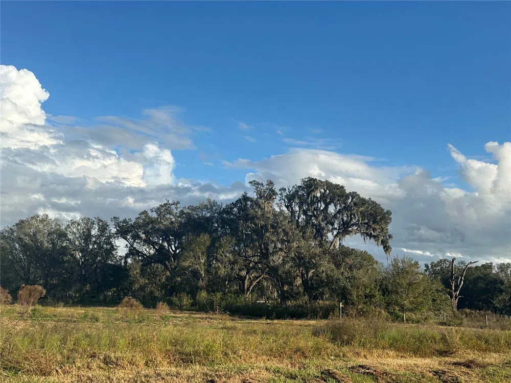 0 POLK ROAD Wauchula, FL 33873