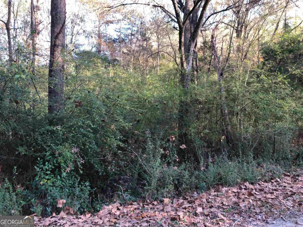 0 Monticello RD Eatonton, GA 31024
