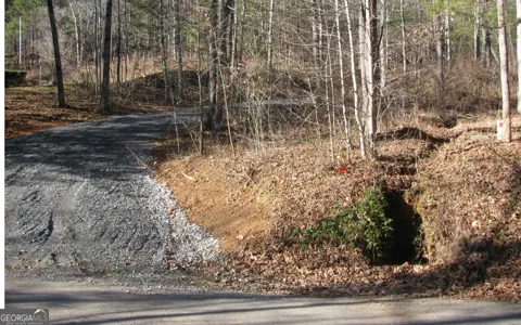 #68 Summerwood LN