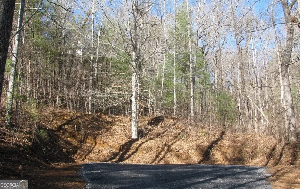 #68 Summerwood LN Young Harris, GA 30582