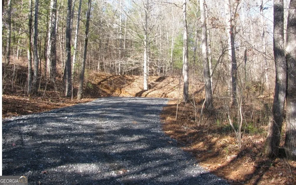 #68 Summerwood LN Young Harris, GA 30582