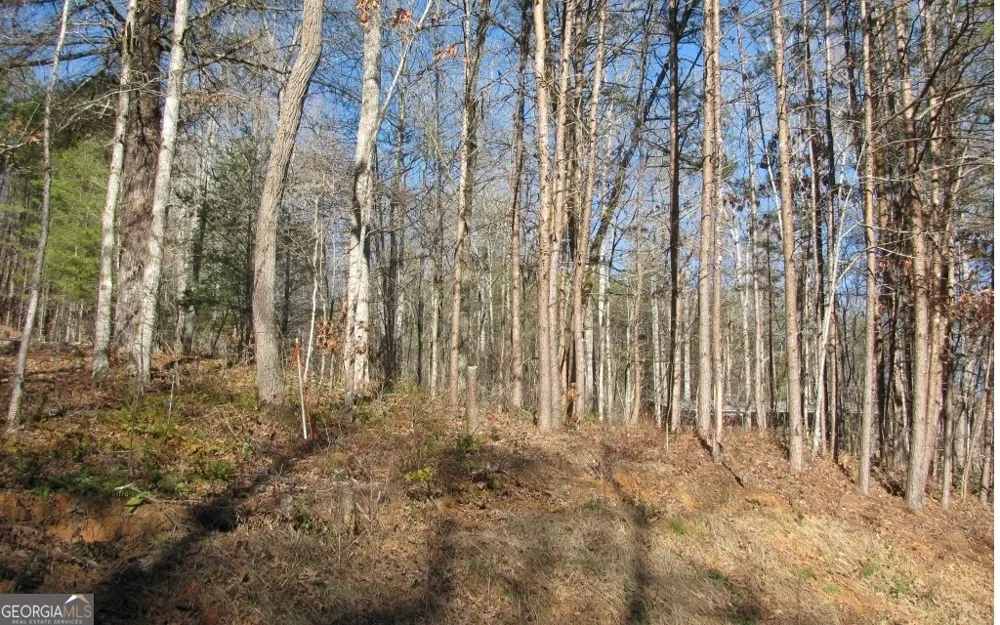 #68 Summerwood LN Young Harris, GA 30582