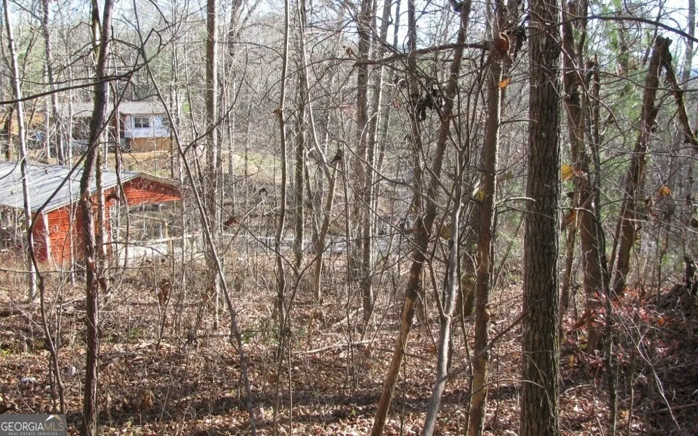 #68 Summerwood LN Young Harris, GA 30582