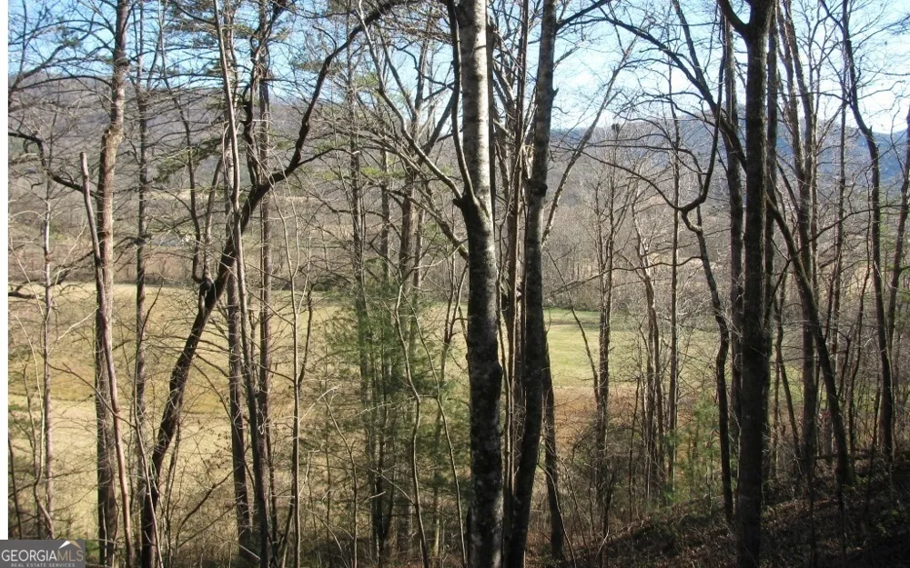 #39 Pinecrest RD Young Harris, GA 30582