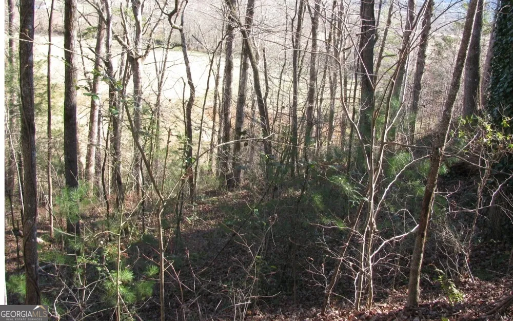 #39 Pinecrest RD Young Harris, GA 30582