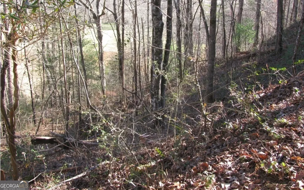 #39 Pinecrest RD Young Harris, GA 30582
