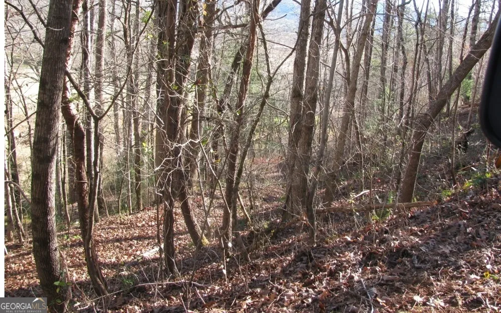 #39 Pinecrest RD Young Harris, GA 30582